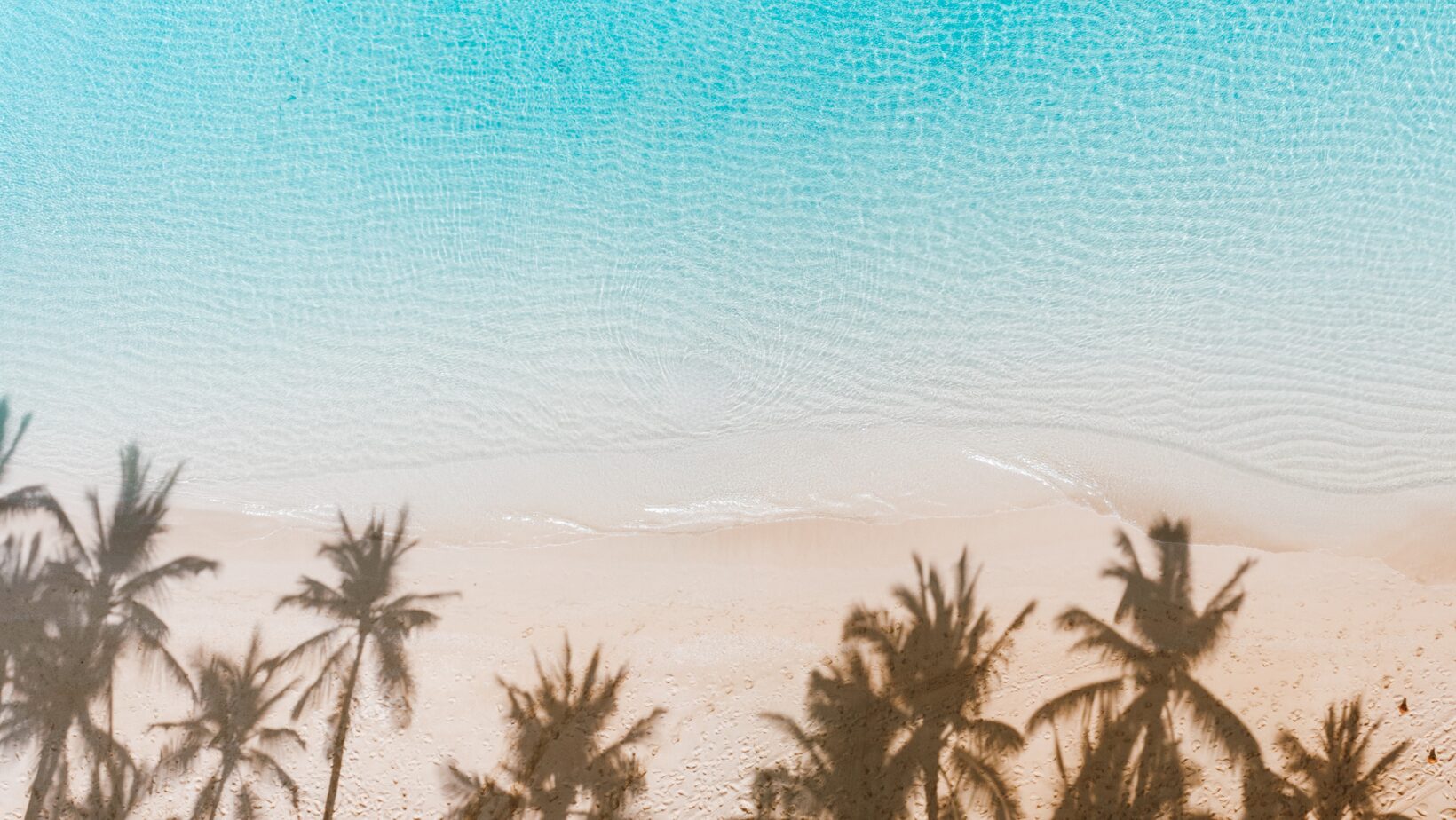 Aerial view of a sandy beach with gentle waves lapping at the shore. The clear turquoise water transitions smoothly into the sand. Silhouette of palm trees is visible, casting shadows on the beach.