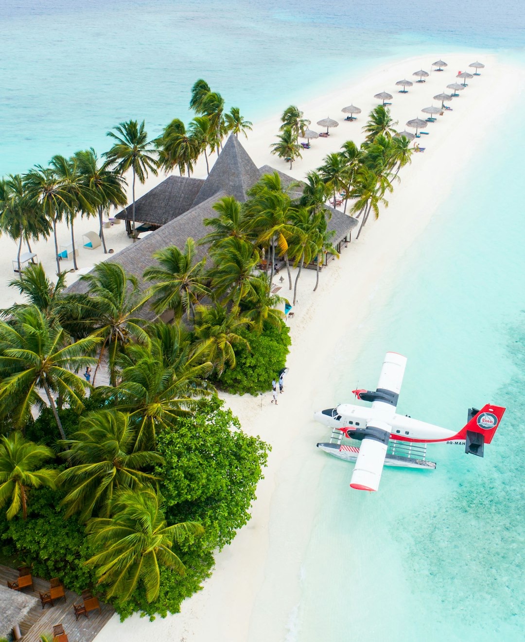 Tropical island beach with seaplane and umbrellas.